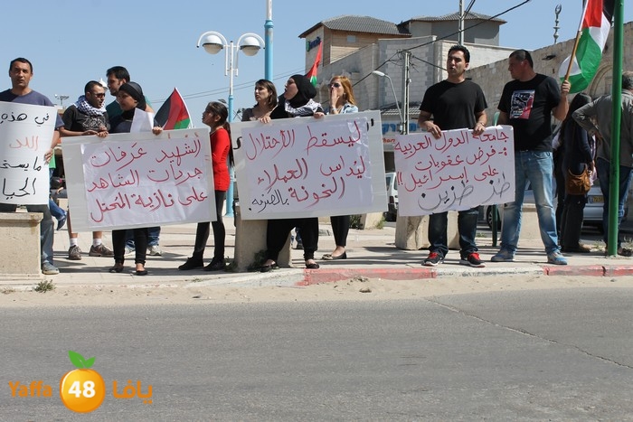 waqfaludn329 (8).jpg